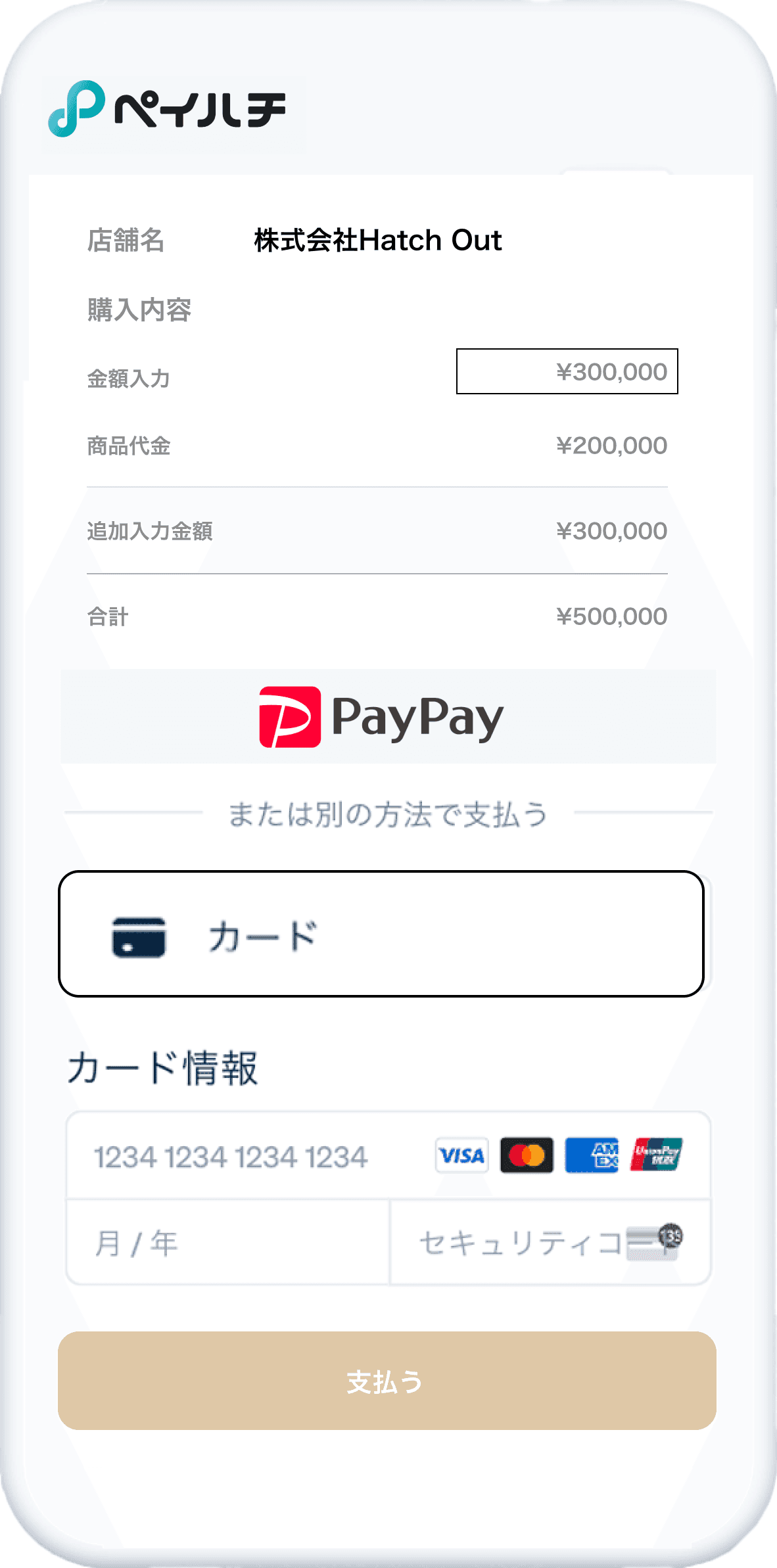 支払いページ画像